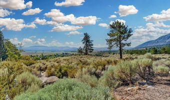 1211 Quail Ridge Rd, Gardnerville, NV 89460
