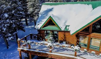 229 Lee Ln, Breckenridge, CO 80424