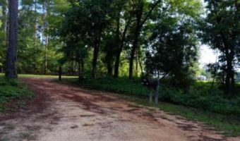 247 Horseshoe Trl, Barnwell, SC 29812