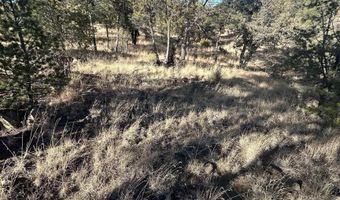 Simmens Ranch Road, Arenas Valley, NM 88061