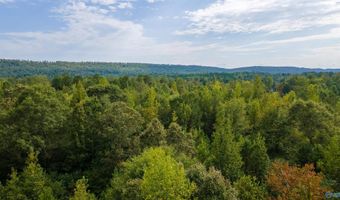 10675 29 Acres Shoal Creek Rd, Ashville, AL 35953