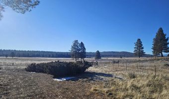 31747 Godowa Springs Rd, Beatty, OR 97621