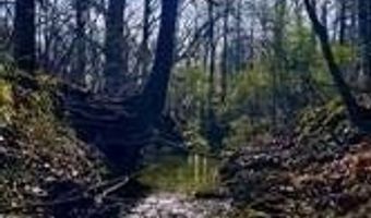 Flint Ridge Road lot 6, Albemarle, NC 28001