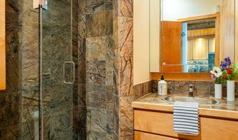 809 S Aspen St 8, Aspen, CO 81611