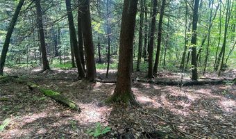 Cr-38, Alma, NY 14708