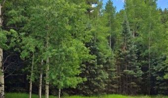 662 Spring Valley Ln, Florissant, CO 80816