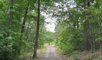 285 CO RD 235, Arley, AL 35541