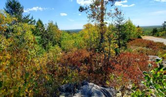 W McMann & Porcupine Hill Road lot 3, Addison, ME 04606