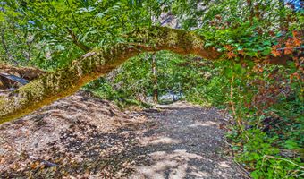 1250 Zenia Bluff Rd, Alderpoint, CA 95511