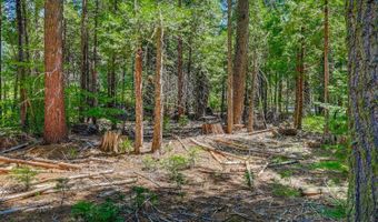 10 Timber Trail Ct, Arnold, CA 95223