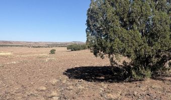 478 N8521, Concho, AZ 85924