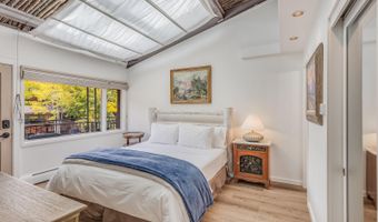 731 S Mill St 3A, Aspen, CO 81611