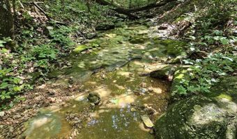 65 Acres Plainview Rd, Anderson, MO 64831