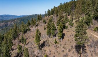 NKA 262 Ac N Side Rd, Calder, ID 83808