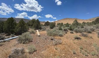1400 Breccia Rd, Gardnerville, NV 89444