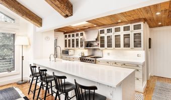 901 W Francis St, Aspen, CO 81611