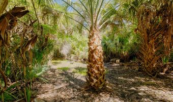 4 Gray Fox Ct Lot 448, Bald Head Island, NC 28461