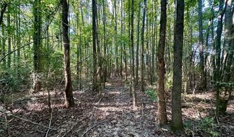 Williams Street, Brookhaven, MS 39601