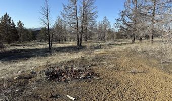 31763 Godowa Springs Rd, Beatty, OR 97621