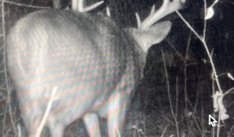 271 18 Acres Zwettler/Foster Rd, Arena, WI 53503