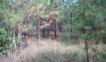 1356 Cr 180, Blue Springs, MS 38828