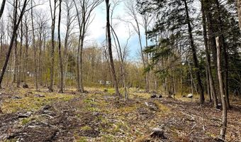 TM 413 L 99 King Road, Alexandria, NH 03222