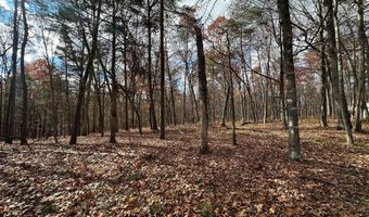 LOT # 28 CACAPON MOUNTAIN RETREAT, Augusta, WV 26704