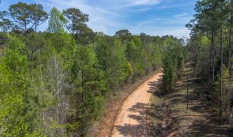 Beardsley Drive lot 58, Bainbridge, GA 39819