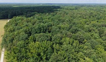 0000 Mifflin Rd, Beech Bluff, TN 38301