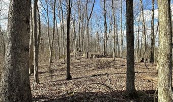 6 Malone Ridge Rd 6, Albany, KY 42602