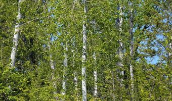 83 Catan Ln, Bonners Ferry, ID 83805
