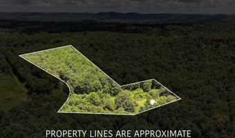 212 Brans Chapel Rd, Attalla, AL 35954