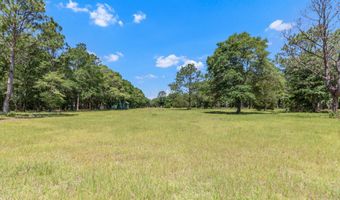 1184 Blackberry Cir, Baker, FL 32531