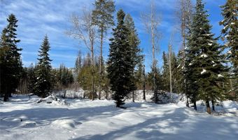 Nhn Kelly Mountain Road, Columbia Falls, MT 59912