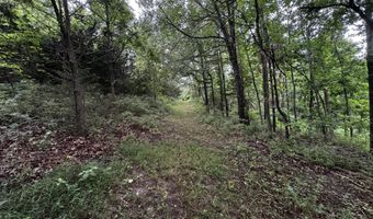 3702 Round House Rd, Aurora, MO 65605