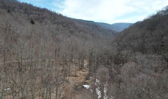 0 TBD Elleber Sods Rd, Bartow, WV 24920
