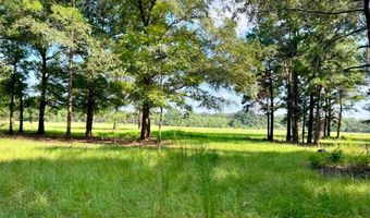 8645 Moores Mill Creek Rd, Baker, FL 32531