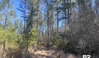 Robinsonville Road, Atmore, AL 36502