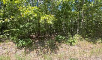 0 County Road 4507, De Kalb, TX 75559
