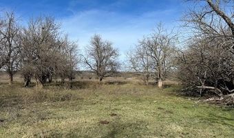 Chicken Fight Road, Atoka, OK 74525