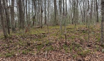 Honey Creek Loop Rd, Allardt, TN 38504