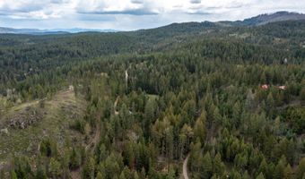 1142 Salee Creek Rd, Bayview, ID 83803