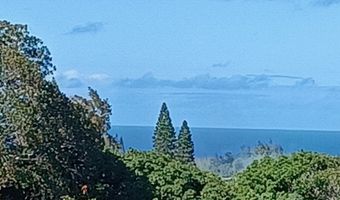 2676 Kalanikahua Rd, Haiku, HI 96708