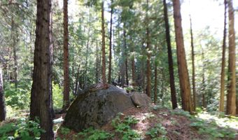 2159 Sierra Pkwy, Arnold, CA 95223