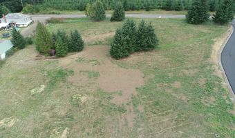 124 Norms Pkwy 1, Ariel, WA 98603