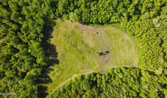 Beech Bluff Road, Beech Bluff, TN 38313