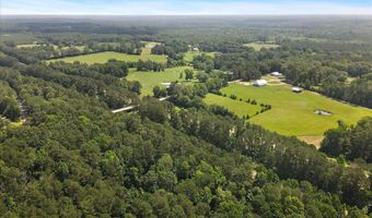 3350 SE Mt Pleasant Ln, Bogue Chitto, MS 39629