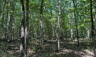 Cr 244, Abbeville, MS 38601