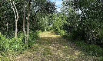 16 89 Acres N Hwy 281 Lot 0, Alice, TX 78332