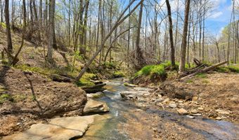 Martha Stockton Road, Albany, KY 42602